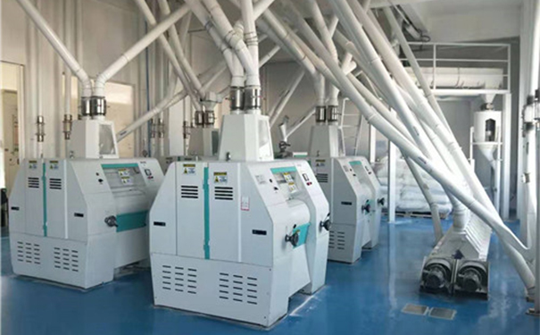 玉米粉加工成套設(shè)備實拍圖片