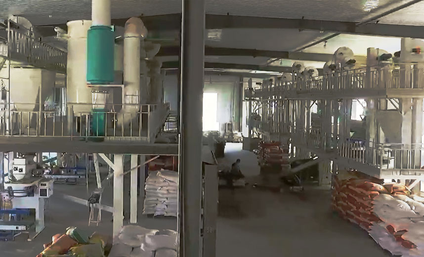 青稞米、青稞面加工創(chuàng)新工藝