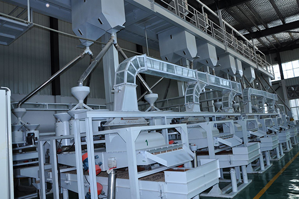 薏米加工成套設(shè)備實(shí)拍圖片