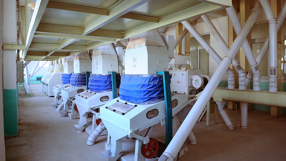 玉米聯(lián)產(chǎn)（制糝、制粉、提胚芽）成套方案