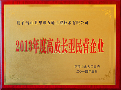 高成長(zhǎng)型民營(yíng)企業(yè)