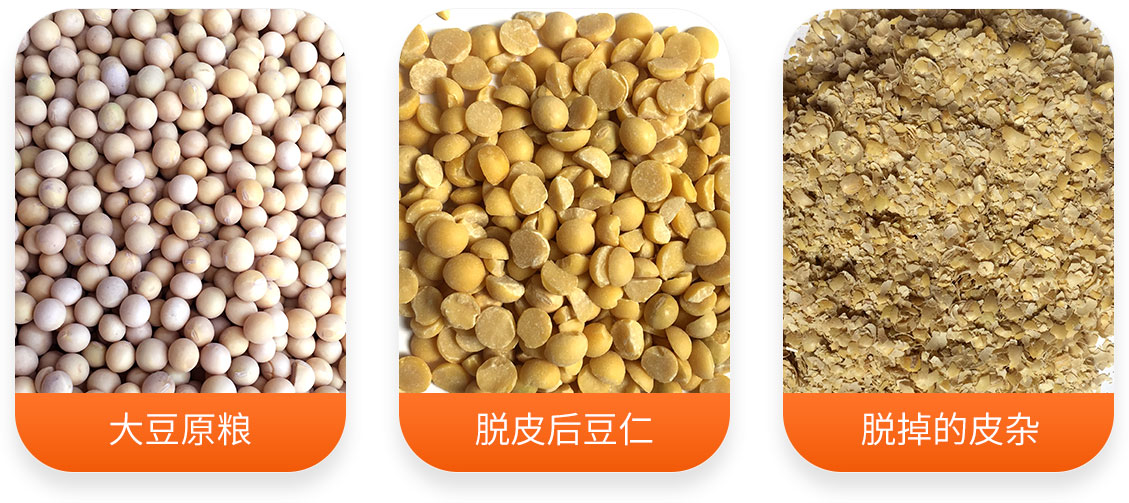 黃豆脫皮成套設備產成品圖