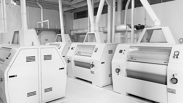 苦蕎面粉生產(chǎn)線