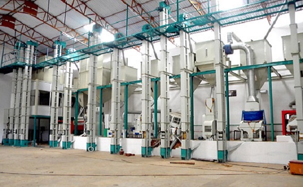 小米高粱加工生產(chǎn)線實拍圖片