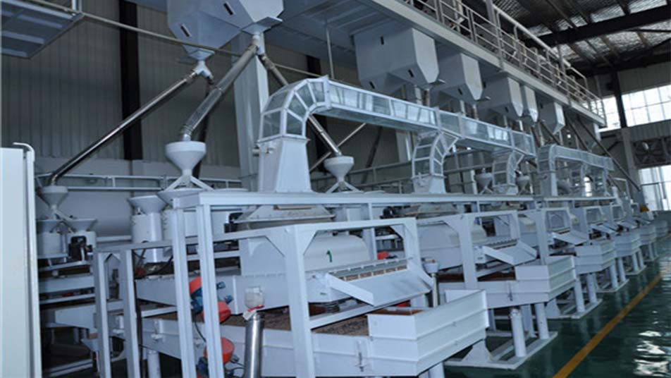 薏谷制仁/薏仁米加工工藝