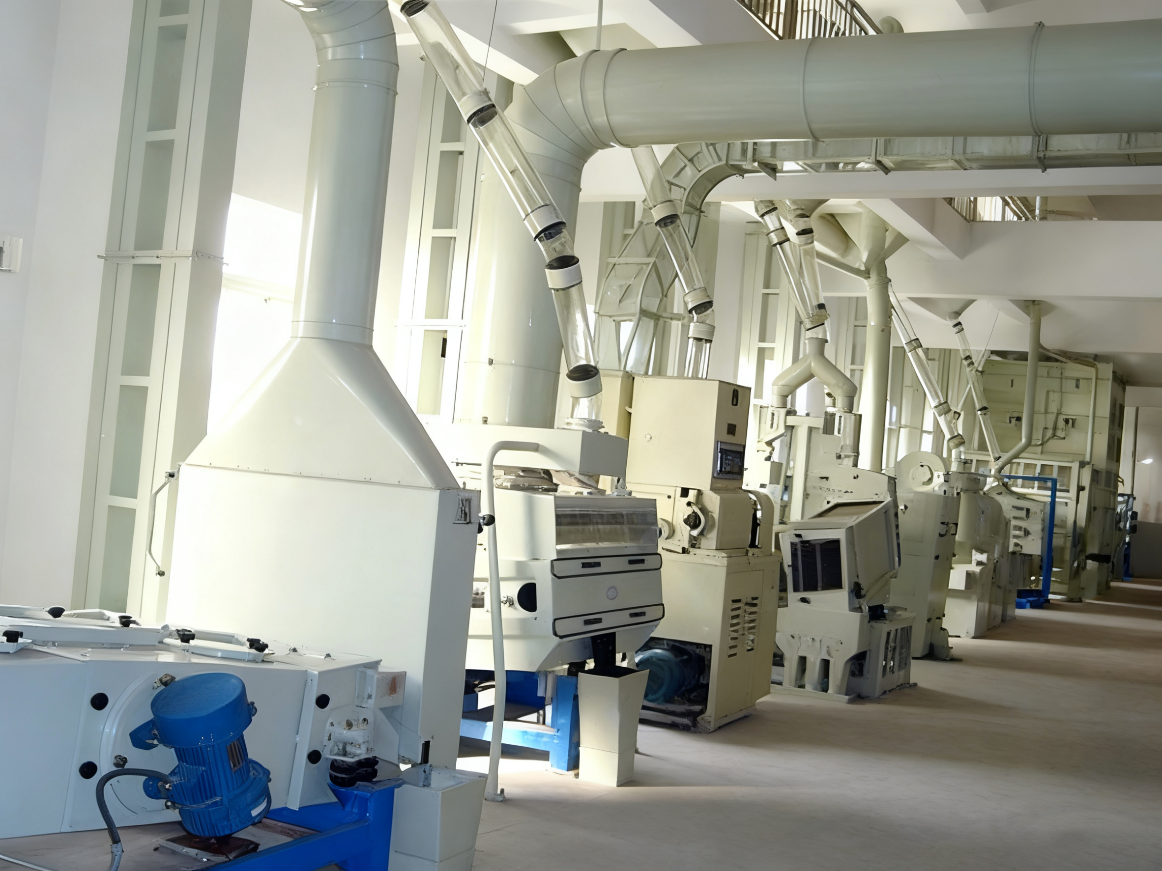 貴陽(yáng)日產(chǎn)200噸大米加工生產(chǎn)線(xiàn)加工現(xiàn)場(chǎng)