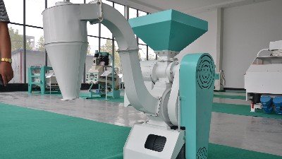 農(nóng)村小雜糧加工行業(yè)的前景怎么樣？