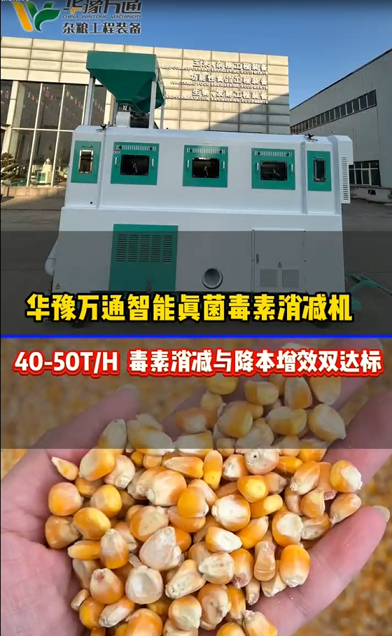 華豫萬通玉米真菌毒素消減機(jī)專為玉米雜糧加工打造的智能除毒裝備