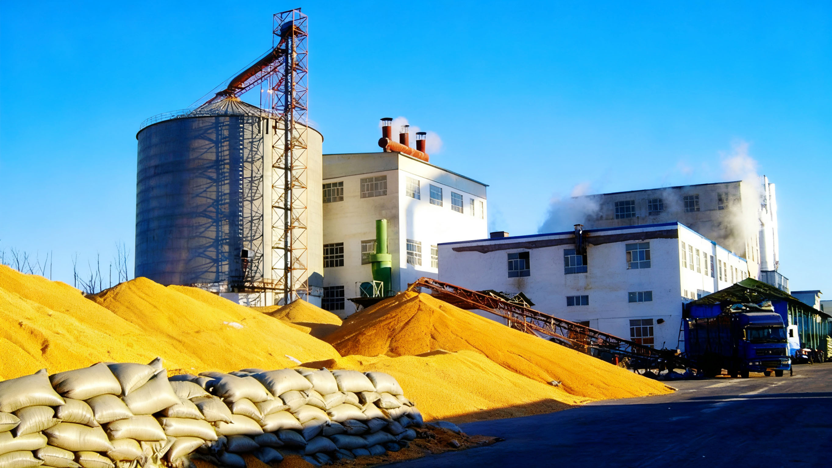 酒廠、酒精廠玉米提胚加工成套設(shè)備方案