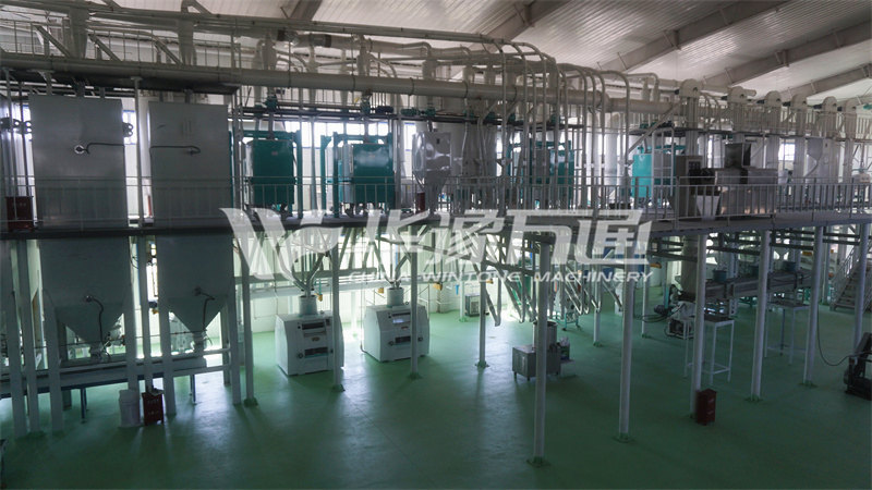 新疆日產(chǎn)60噸玉米糝玉米面加工廠