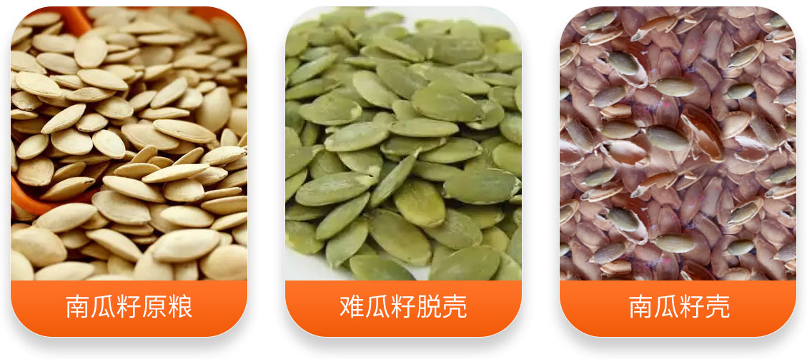 南瓜籽脫殼成套設(shè)備產(chǎn)成品圖