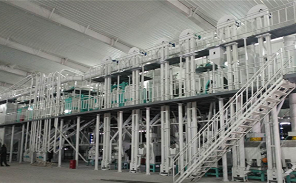 豆類脫皮成套設(shè)備實拍圖片