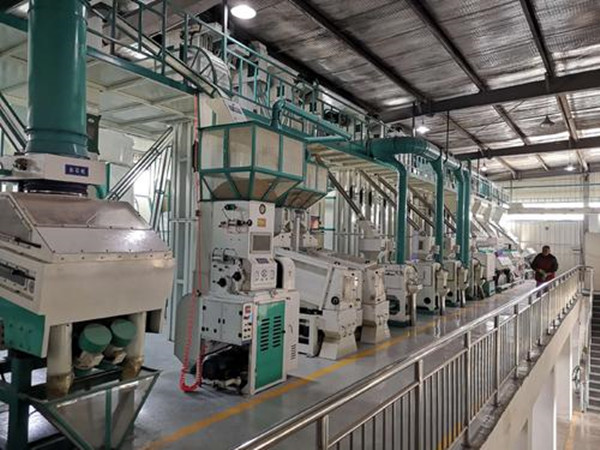 藜麥加工生產(chǎn)線(xiàn)實(shí)拍圖片