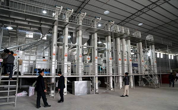 藜麥加工成套設(shè)備實(shí)拍圖片