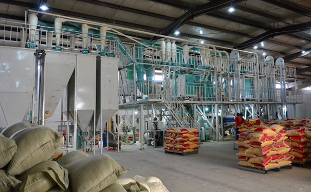 鋼架式玉米制糝制粉成套設(shè)備實拍圖片