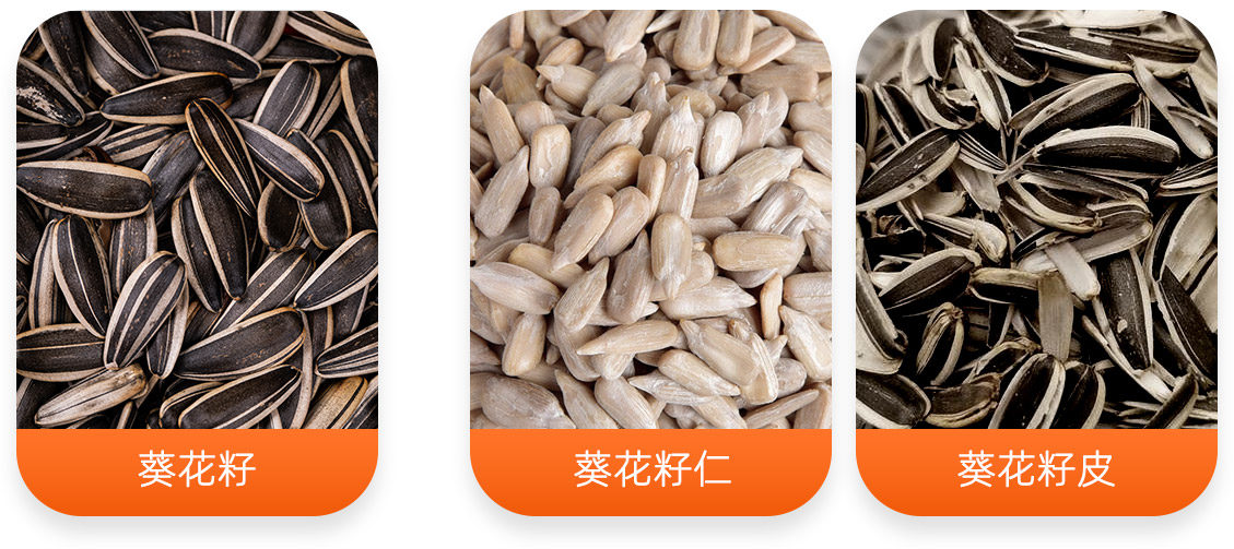 葵花籽脫殼成套設(shè)備產(chǎn)成品圖