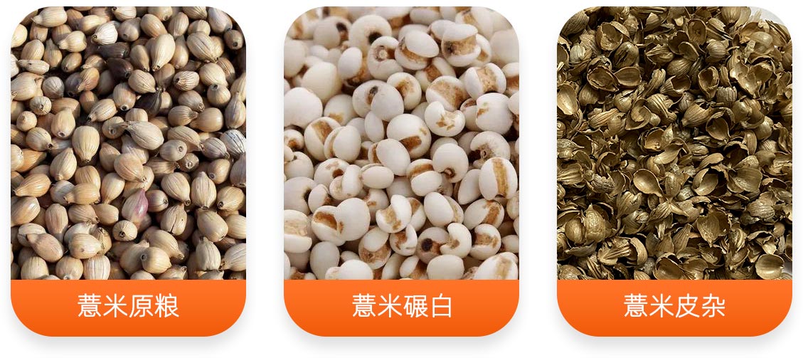 薏米加工成套設(shè)備產(chǎn)成品圖