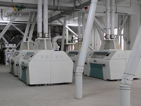 玉米面加工成套設備