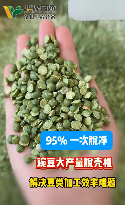 客戶來料測試豌豆脫殼機(jī)效果-非常滿意