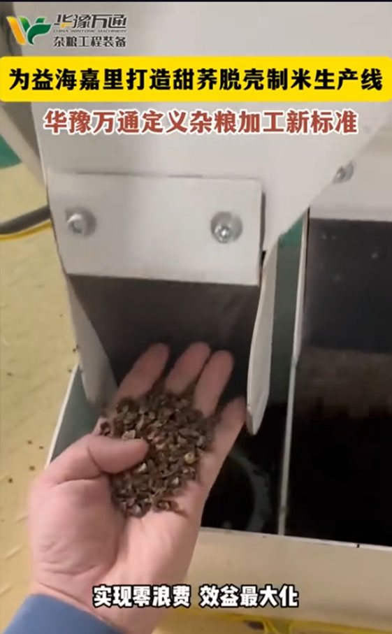 華豫萬通為益海嘉里打造甜蕎脫殼制米生產(chǎn)線