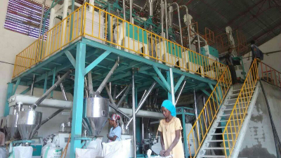 玉米加工簡易生產(chǎn)線的優(yōu)勢(shì)