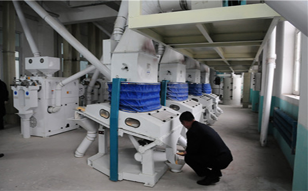 玉米提胚成套設(shè)備實(shí)拍圖片