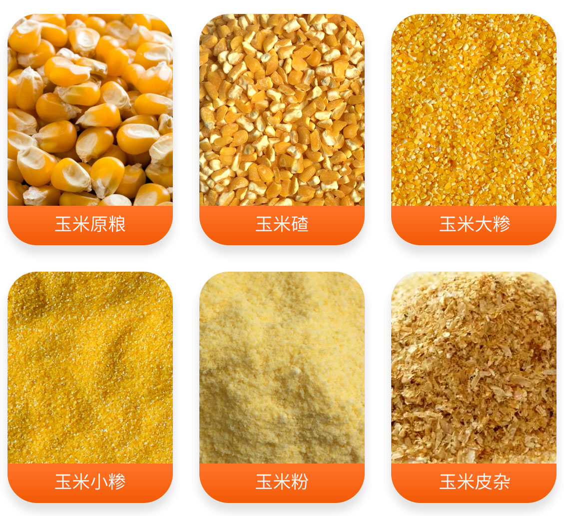 玉米粉加工成套設(shè)備產(chǎn)成品圖
