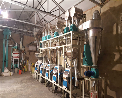 時加工1-2噸小麥面粉生產(chǎn)線實(shí)拍圖片
