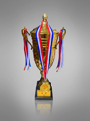 團(tuán)隊(duì)訓(xùn)練營(yíng)冠軍