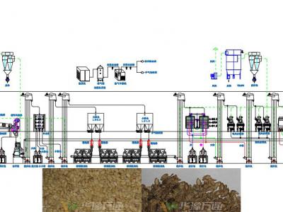 水飛薊脫殼成套設(shè)備