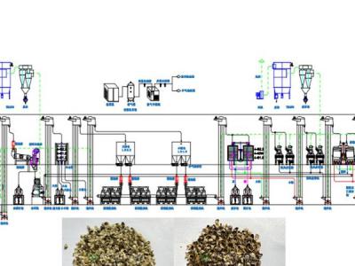 火麻籽脫殼成套設(shè)備