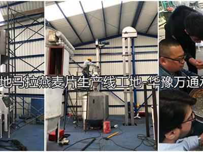 危地馬拉2噸燕麥脫殼1噸燕麥切粒壓片成套設(shè)備