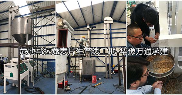 危地馬拉2噸燕麥脫殼1噸燕麥切粒壓片成套設(shè)備